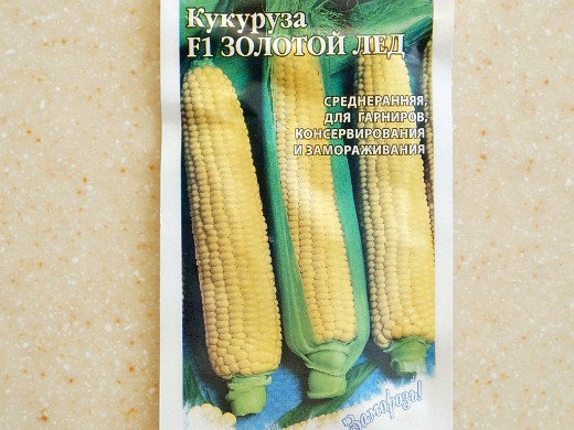 Лучшие сорта кукурузы для любых регионов России
